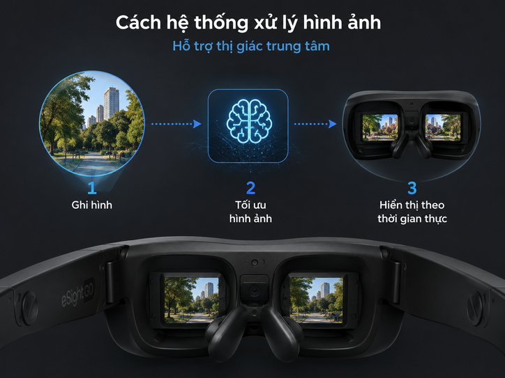 eSight Go