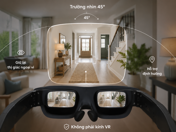 eSight Go