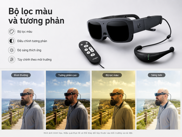 eSight Go